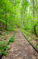 Obraz premium Blue Ridge Parkway