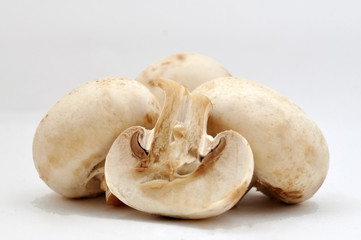 Champignon mushrooms closeup isolated