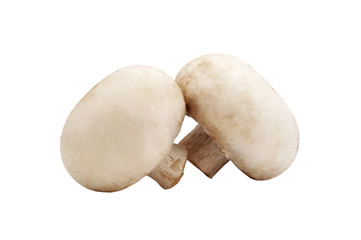 two champignon mushrooms closeup