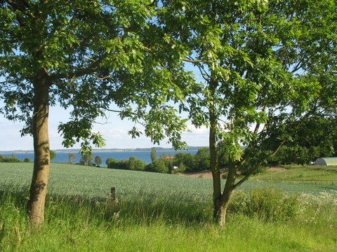 Ostsee Angeln