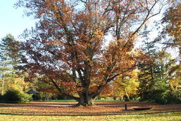Ein Klostergarten im Herbst