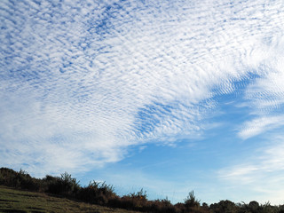 Scenic View of the Sky over the Ashdown Forest in Sussex