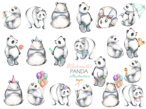 Collection, set of watercolor pandas illustrations, hand drawn isolated on a white background