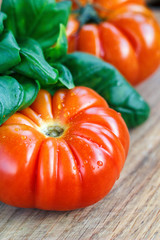 Fresh tomatoes with basil for use as cooking ingredients with copy space. Tomatoes with basil on wooden table background. Food composition.