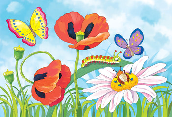 Flowers, butterflies and other insects. Poppies, a daisy and green grass. Summer day. Greeting card.