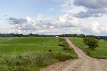 Feldweg in Lettland