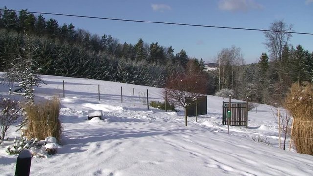 Der Wind bl&auml;st den Schnee durch die Winterlandschaft