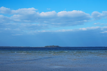 Autumn landscape. You can see trees with yellowed leaves in the distance