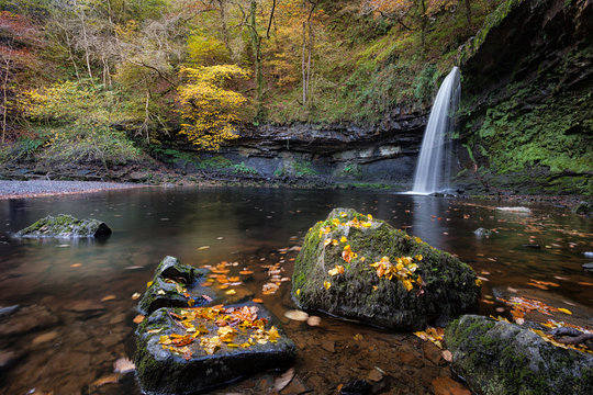 Autumn at Sgwd Gwladus Lady falls
Lady Falls waterfall on the river Afon Pyrddin near Pontneddfechan, South Wales, an area known as Waterfall Country