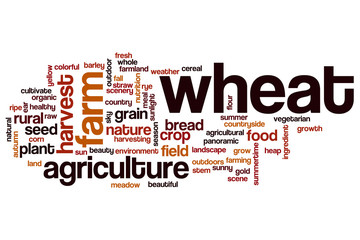 Wheat word cloud