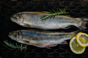 Bachsaibling fertig zum Grillen