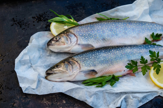 Frische Saiblinge in Papier