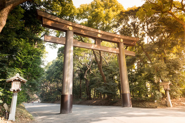 Torii in Yoyogi Park. Tokio. Japan