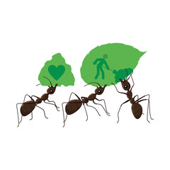 Vector illustration of ants.