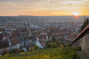 Esslingen am Neckar Burg