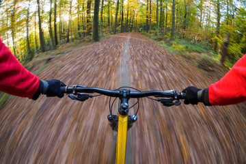 Cyclist riding mountain bike in forest during autumn. first person view with real motion blur. - obrazy, fototapety, plakaty