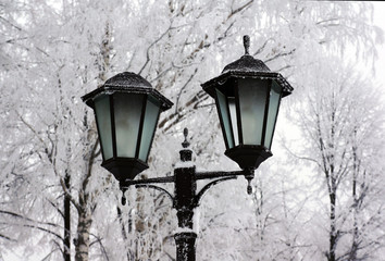 Fototapeta na wymiar Winter landscape, light