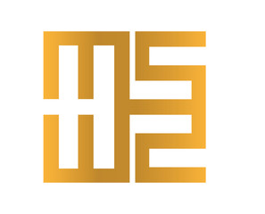 MS Logo Design