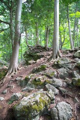 Hilton Falls recreation area