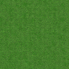 grass texture