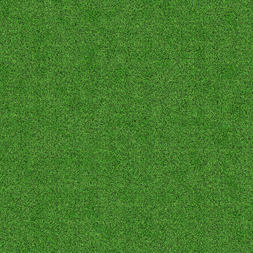 grass texture