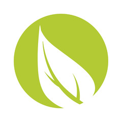 leafs ecology symbol isolated icon vector illustration design
