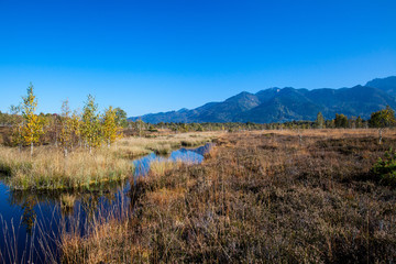 Die Moor und Filz - Landschaft Kendlmühlfilz