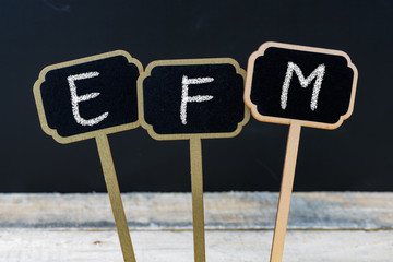 Business acronym EFM as Enterprise Feedback Management