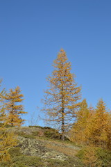 Autunno in montagna