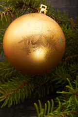 Christmas tree and decorations on wooden background