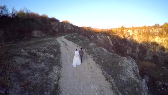 Aerial view of newlyweds walking in the field