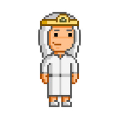 Vector 8 bit pixel princess for game
