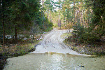 Droga w lesie wpadająca do rzeki na Roztoczu © barytek