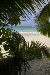 Ile de Praslin, Iles Seychelles