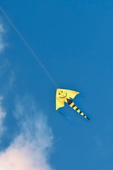 Kite flying in the beautiful autumn windy day. Blue sky background with sun and clouds.