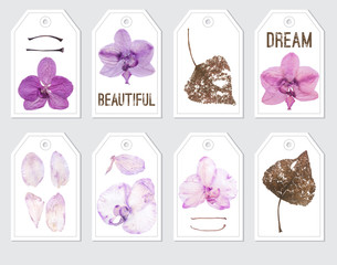 Ready to print elements with violet orchids.