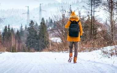 girl goes on a winter woods