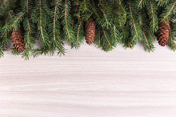 Christmas background with a branch of spruce and cones