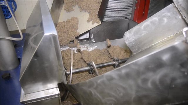 Gramolatura pasta di olive dopo la macinatura con le molazze.