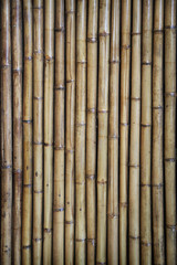 Wood texture bamboo