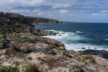 Kangaroo Island Coast Line near Admiral Arch, Southern Australia