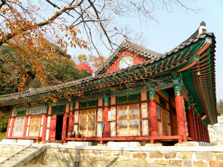 The old buddhism temple with red column under the autumn leaves, South Korea
