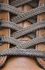 Shoe laces on a brand new brown sneakers.