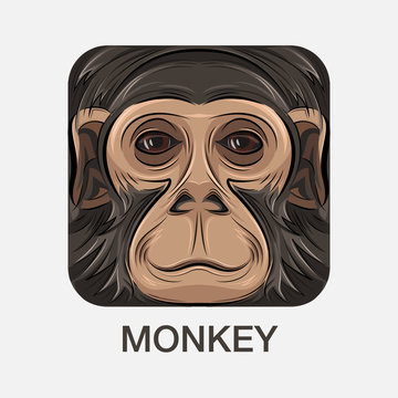 Icon cartoon face of good adult monkeys. Good eyes, smile, beautifully painted hair