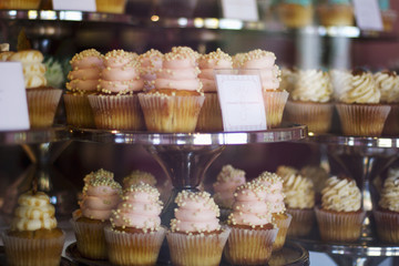 Cupcakes on Display in a Bakery