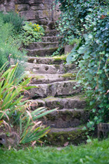 Stone stairs in garden