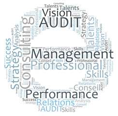 Audit consulting word cloud