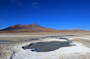 Laguna Ramaditas, altiplano, southern Bolivia South America