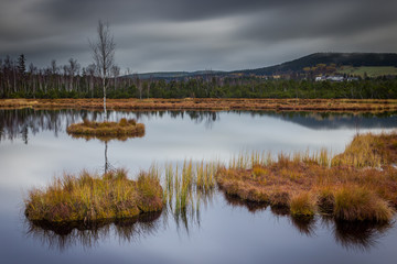 Moorland in Šumava