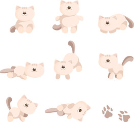Cats poses collection cartoon